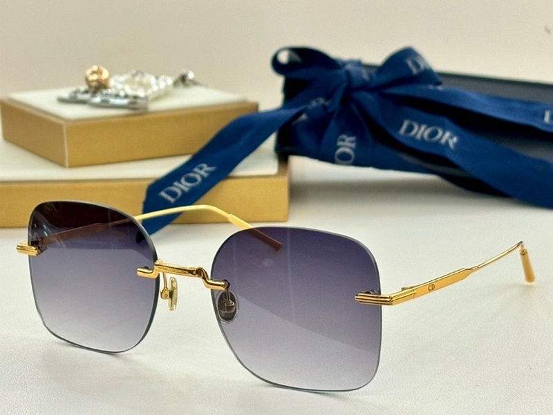 DIOR Sunglasses 74